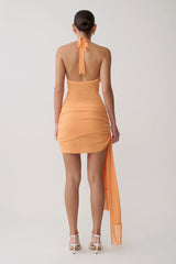 Lucien Cowl Neck Mini Dress - Apricot